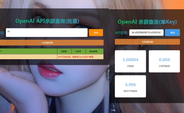 OpenAI 账户 ChatGPT 余额的在线查询源码 需要海外服务器